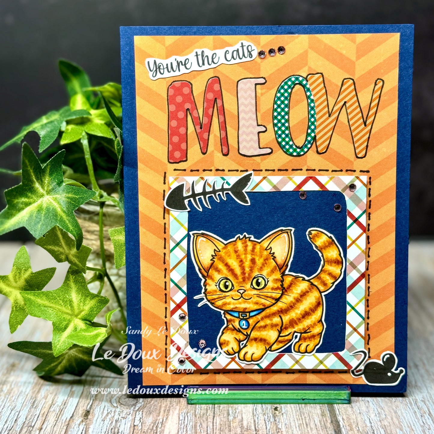 Curious Kittens Stamp set